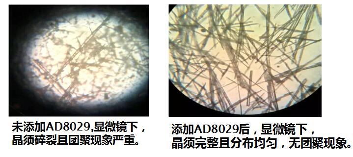 晶須改性